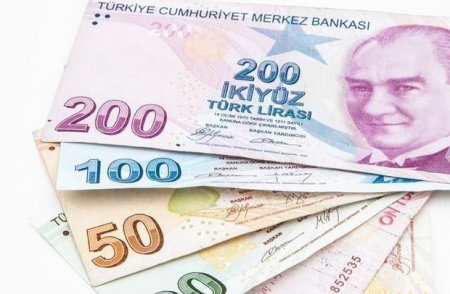 Türkiyə Mərkəzi Bankı lirəni xilas edə bilmir