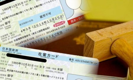 Yaponiyada rekord miqdarda saxta rezident kartı qeydə alınıb