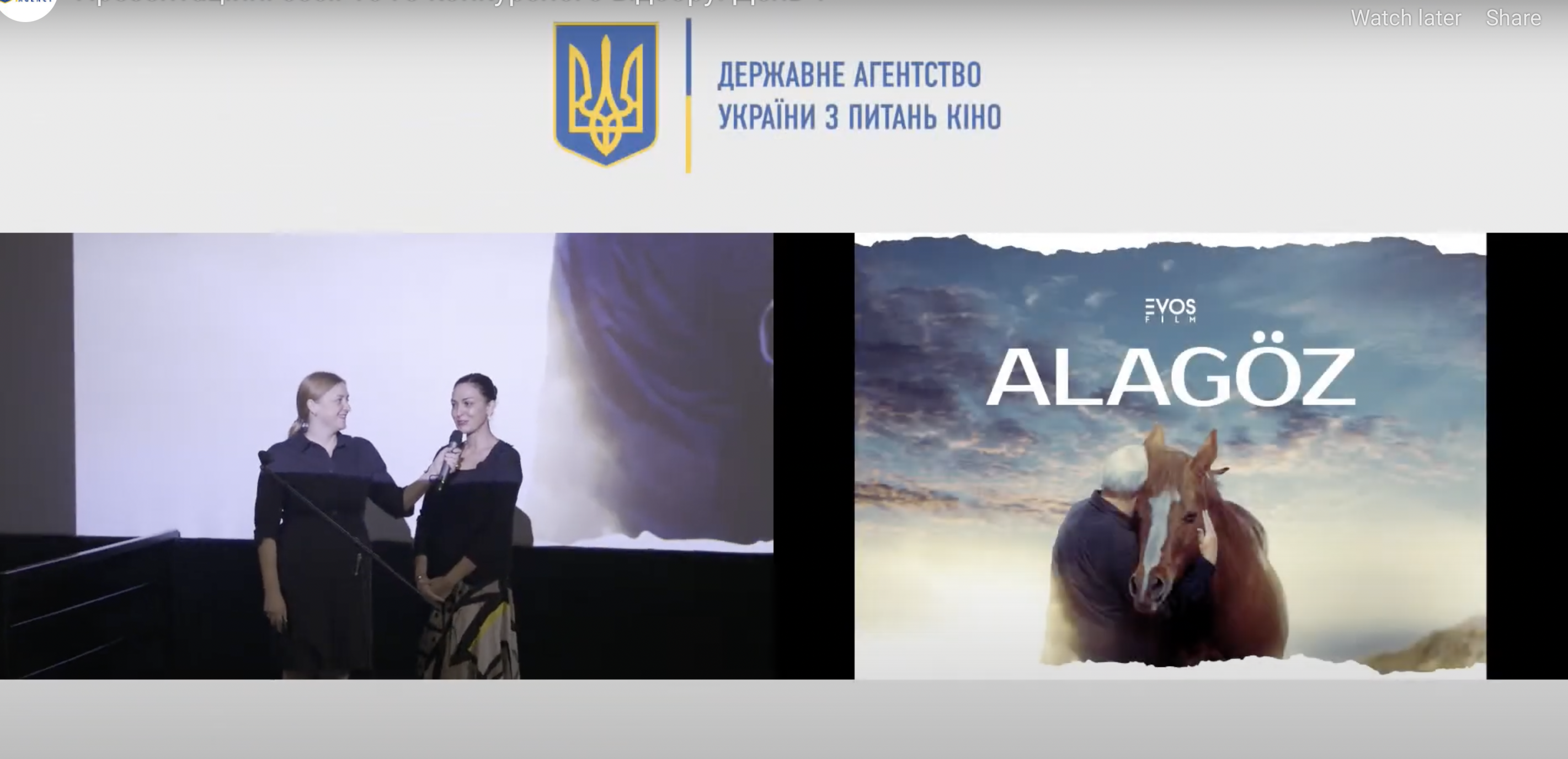 Азербайджанский проект «Алагёз» занял первое место на питчинге в Киеве