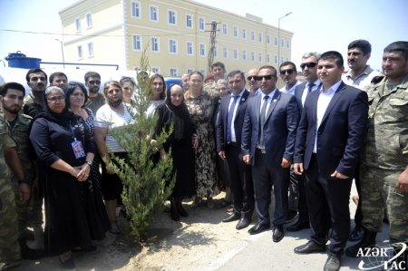 Bakının Xətai rayonunda general-mayor Polad Həşimovun xatirəsinə həsr edilmiş ağacəkmə aksiyası keçirilib