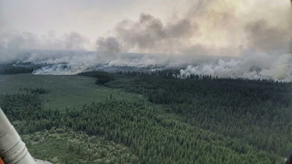 Rusiyadakı meşə yanğınlarının fəsadları Qrenlandiyaya çatıb