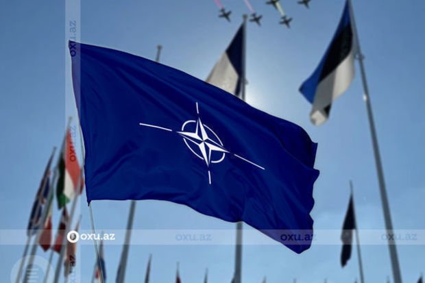 Finlandiya yaxın həftələrdə NATO-ya üzvlük üçün müraciət edəcək