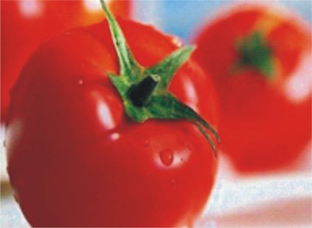 Pomidor qeyri adi tamı ilə yanaşı ağıla gəlməyəcək dərəcədə vitaminlər