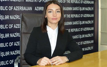 “Azərbaycan-Rusiya münasibətlərini xarici siyasət orqanları deyil, Prezidentlər müəyyən edir” - Leyla Abdullayeva