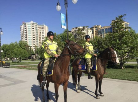 Azərbaycan polisi ingilislərə yüksək peşəkarlıq nümayiş etdirdi