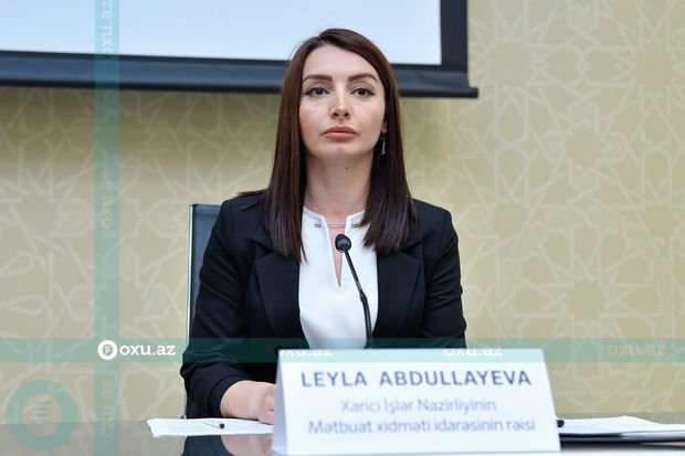 Leyla Abdullayeva Qarabağda minatəmizləmə işlərinin statistikasını açıqladı – FOTO