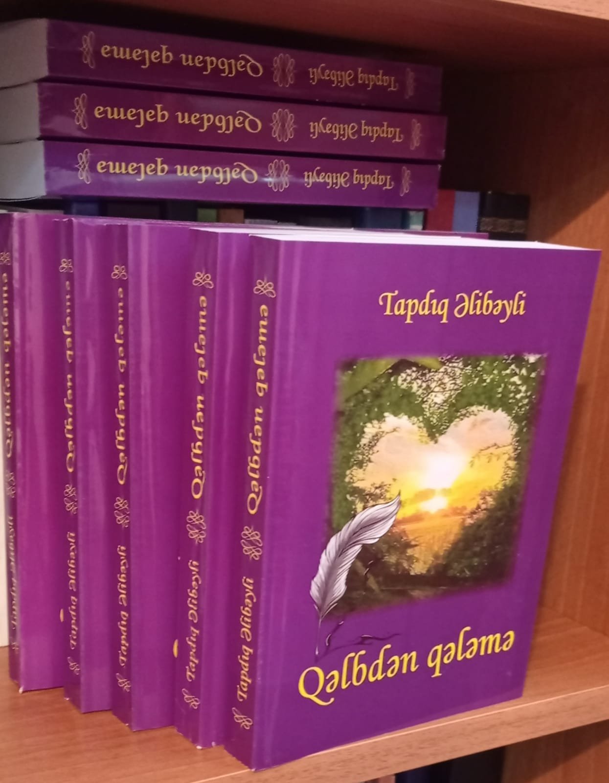 Tapdıq Əlibəyli: "Qəlbdən qələmə"