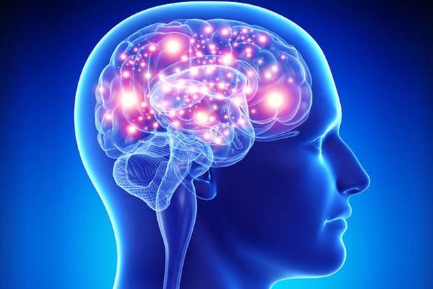 Beyin üçün ən faydalı məhsul açıqlandı