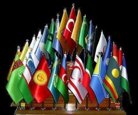 Türk Birliği Milli Müdafaa Konfederasyonu faaliyee geçmiştir