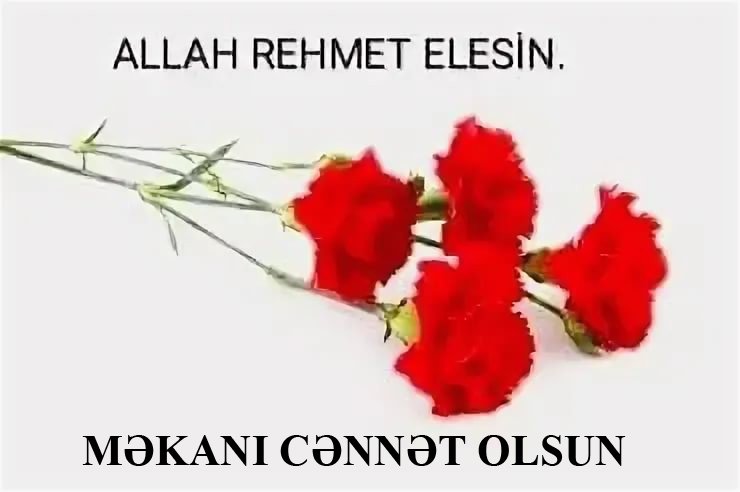 Allah rəhmət eləsin!