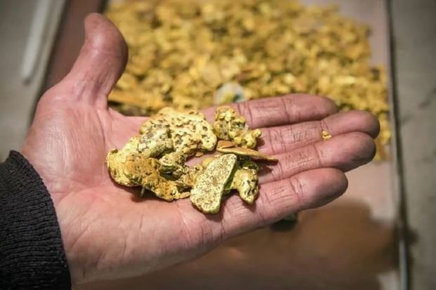 Tacikistan sakinləri 300 min dollarlıq qızıl hasil ediblər
