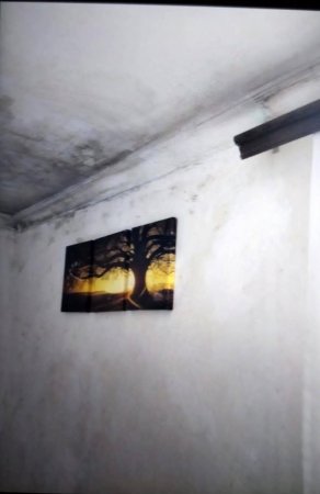 BİLƏCƏRİ SAKİNLƏRİ “YAĞIŞDAN ÇIXIB YAĞMURA DÜŞÜBLƏR” – ŞİKAYƏT / FAKT