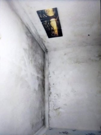 BİLƏCƏRİ SAKİNLƏRİ “YAĞIŞDAN ÇIXIB YAĞMURA DÜŞÜBLƏR” – ŞİKAYƏT / FAKT