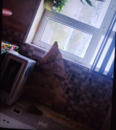 BİLƏCƏRİ SAKİNLƏRİ “YAĞIŞDAN ÇIXIB YAĞMURA DÜŞÜBLƏR” – ŞİKAYƏT / FAKT