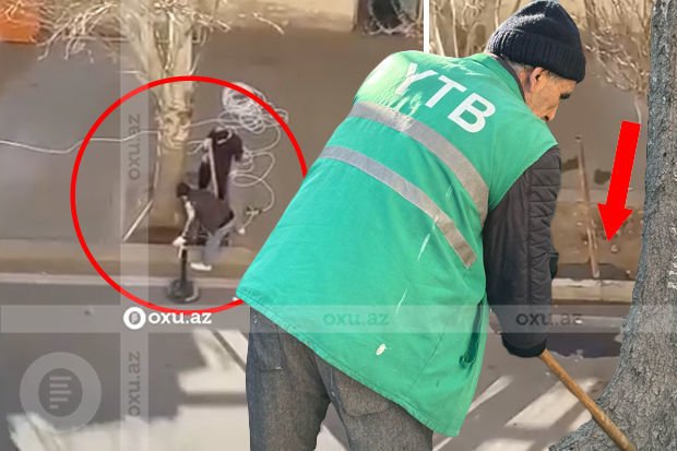 Bakıda ağacların dibini asfaltlayıb, yerində bina tikmək istədilər