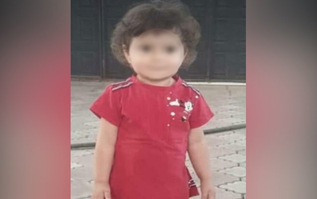 Nəzrinin ölümü ilə bağlı cinayət işi açıldı 