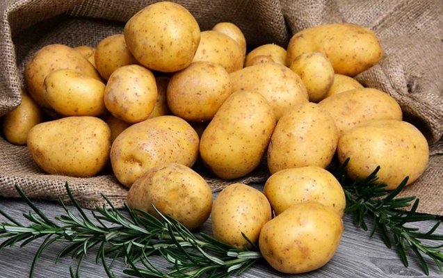 Kartofun sağlamlığımıza faydası 