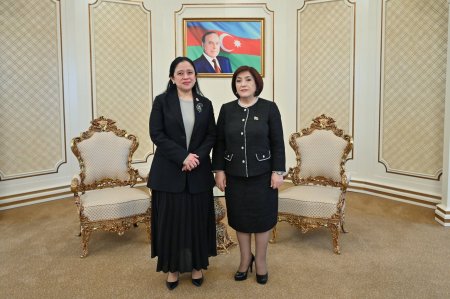 Bakıda APA-nın 15-ci plenar sessiyası başlayıb - Fotolar+Yenilənib