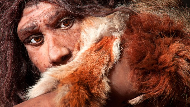 Alimlər neandertalların yox olmasının səbəbini açıqladı 