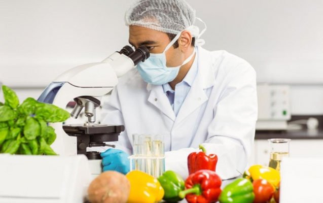 Bu müəssisələrdə qida normaları müəyyənləşəcək