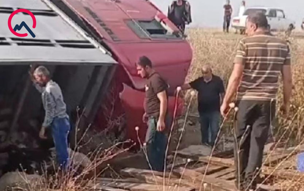 Sürücü yuxulayıb maşını aşırdı - Heyvanlar tələf oldu